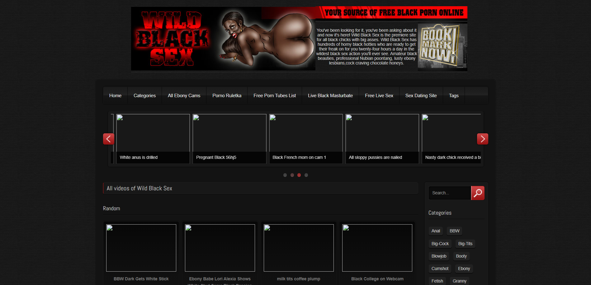 WildBlackSex.com WildBlackSex.com