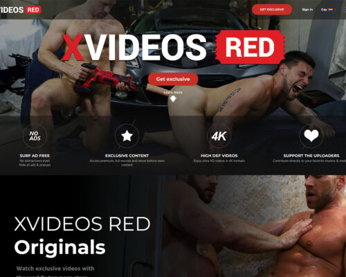 XVideosRed Gay